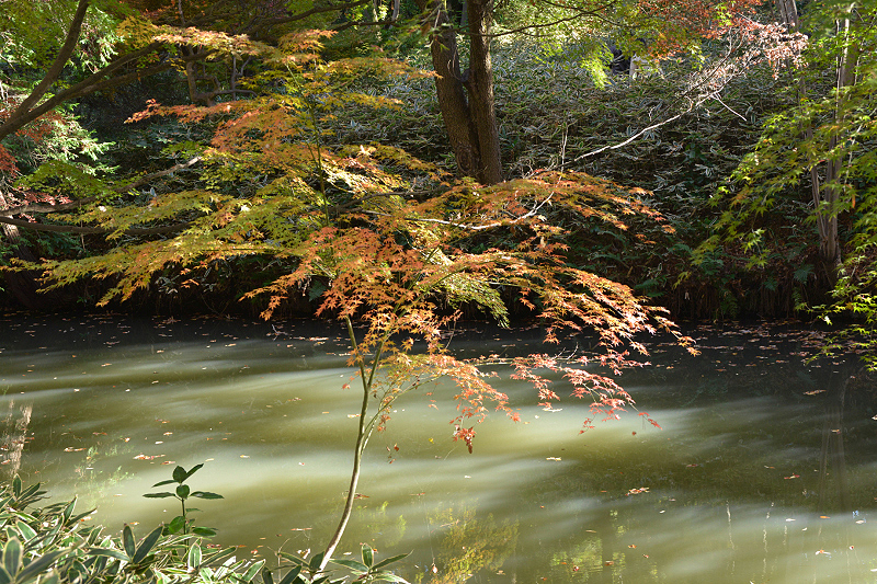 image0183