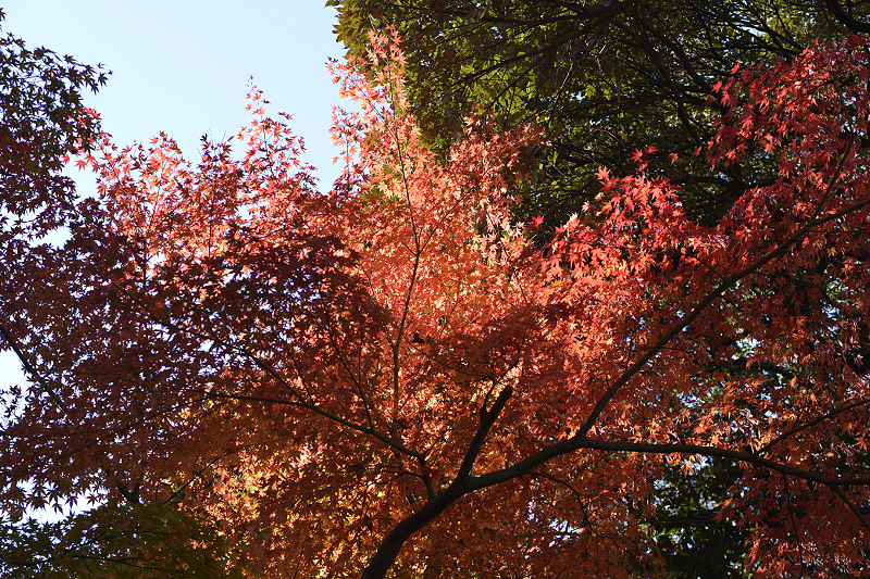 image0190