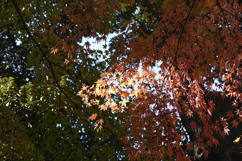 image0191