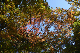 image0128
