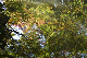 image0129