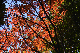 image0135