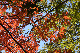 image0143