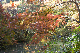 image0144
