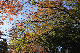 image0146