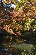 image0147