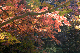image0148