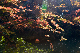 image0149