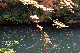image0155