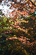 image0158