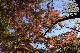 image0175