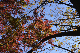 image0176