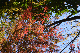 image0177