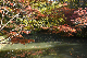 image0179