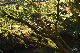 image0181