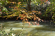 image0183