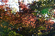 image0187
