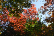 image0188