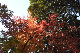 image0189