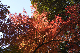 image0190