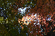 image0191