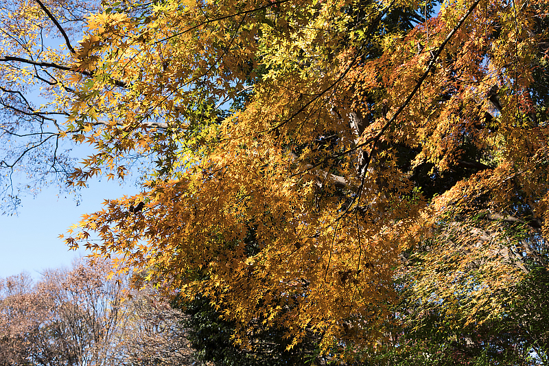 image0187