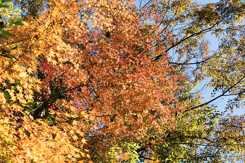 image0193