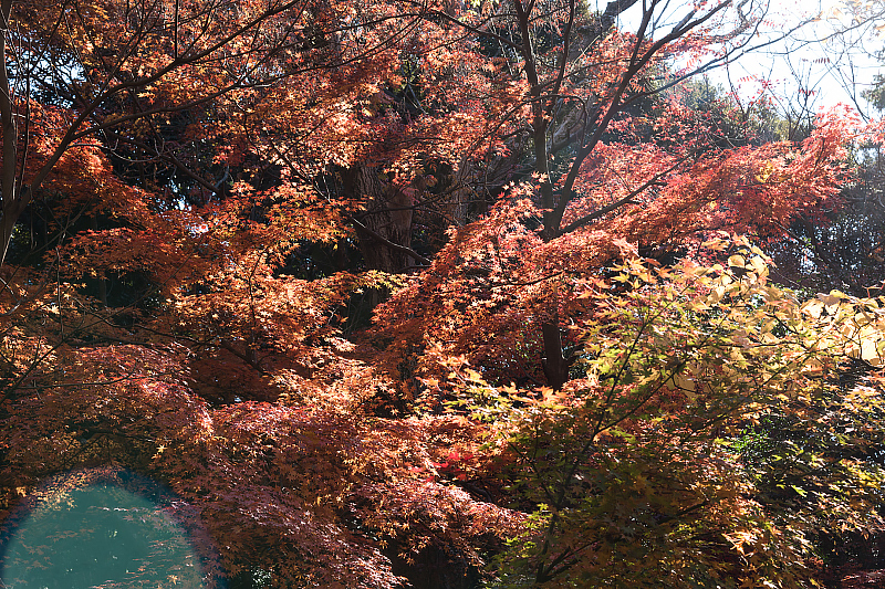 image0194