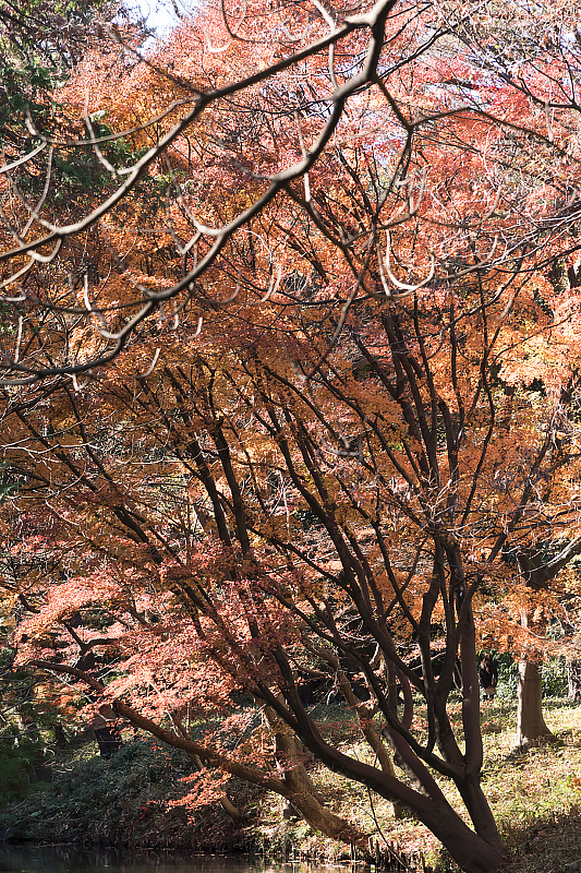 image0199