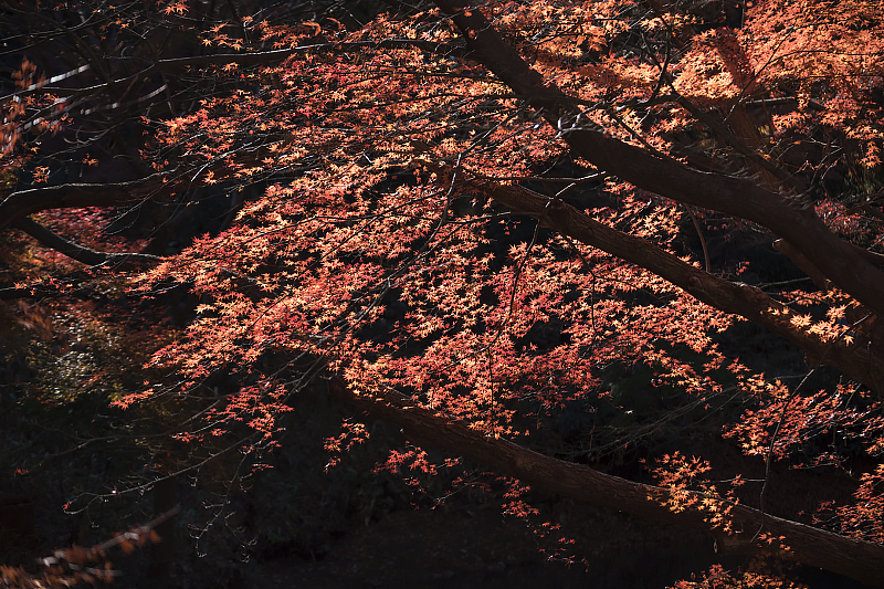 image0210