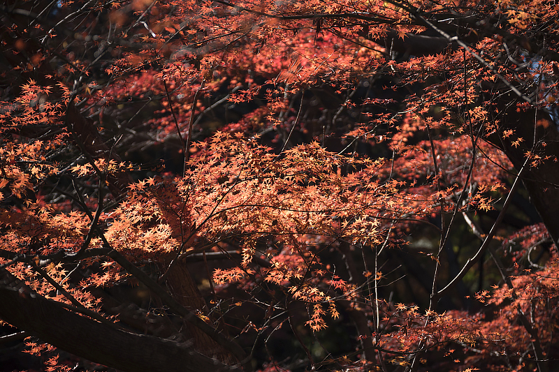 image0211