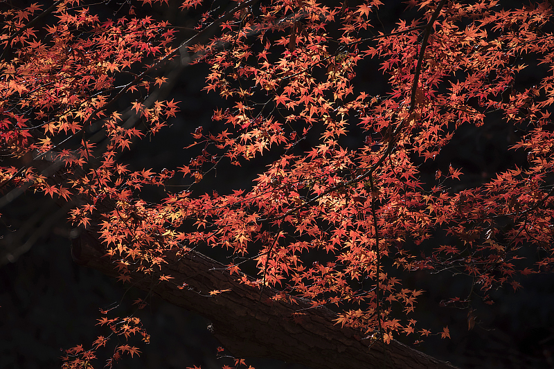 image0214