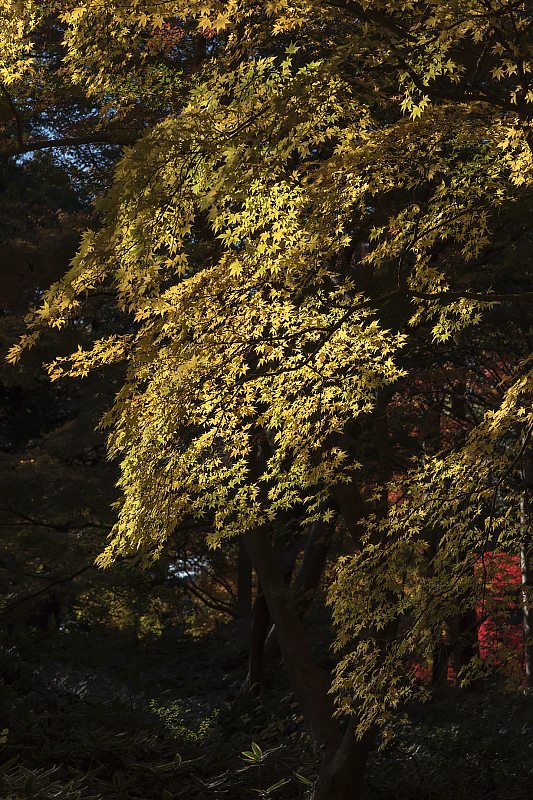 image0242