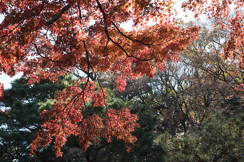 image0281