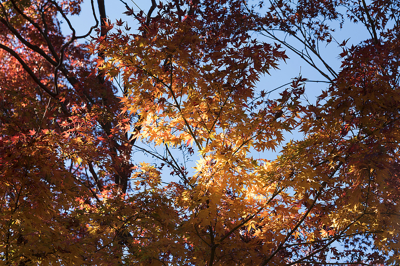 image0282