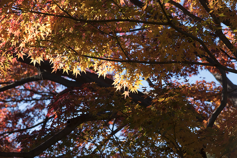 image0284
