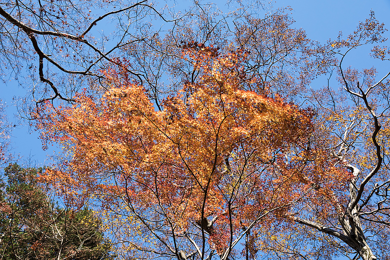 image0285
