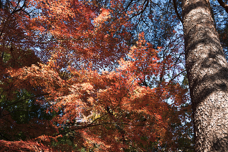 image0287