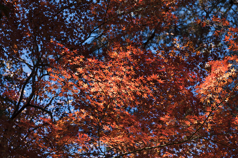image0288