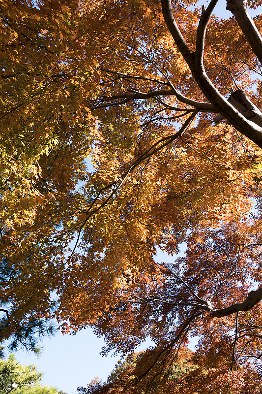 image0292
