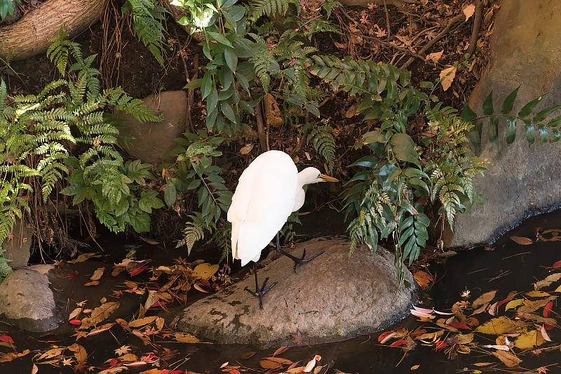image0296