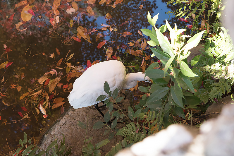 image0297
