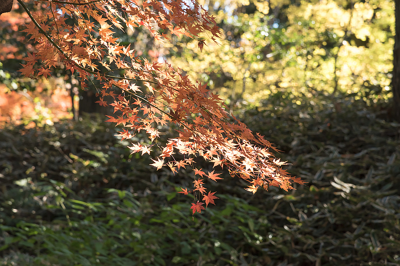 image0302