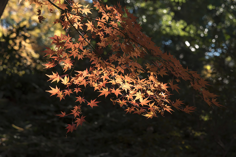 image0304