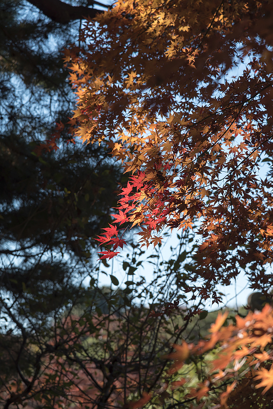 image0307