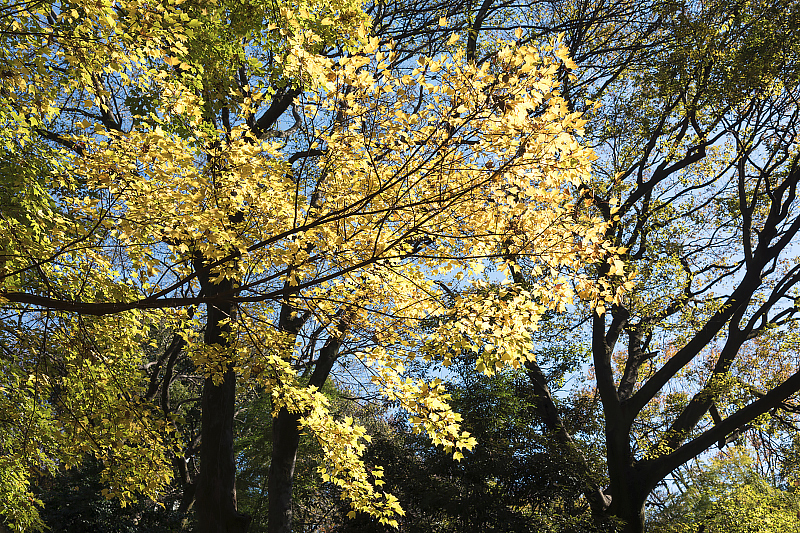 image0308