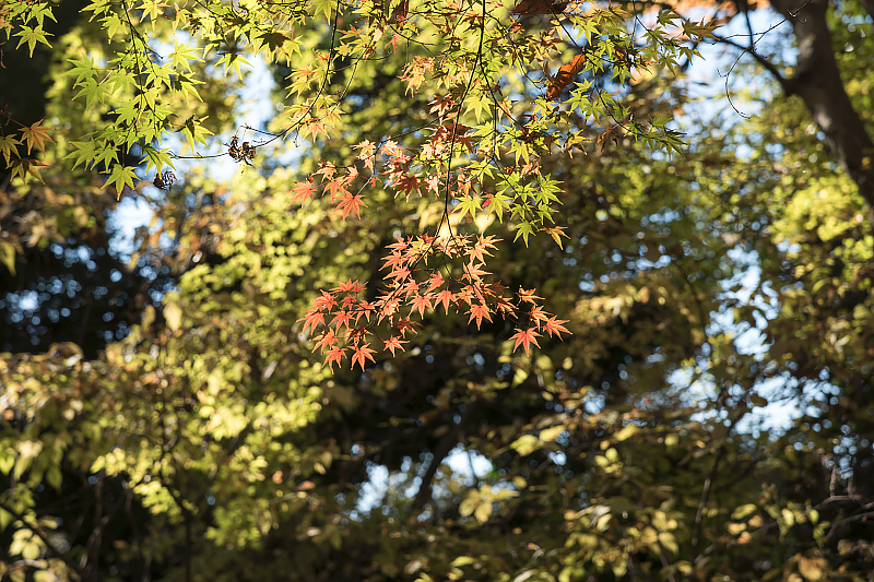 image0310