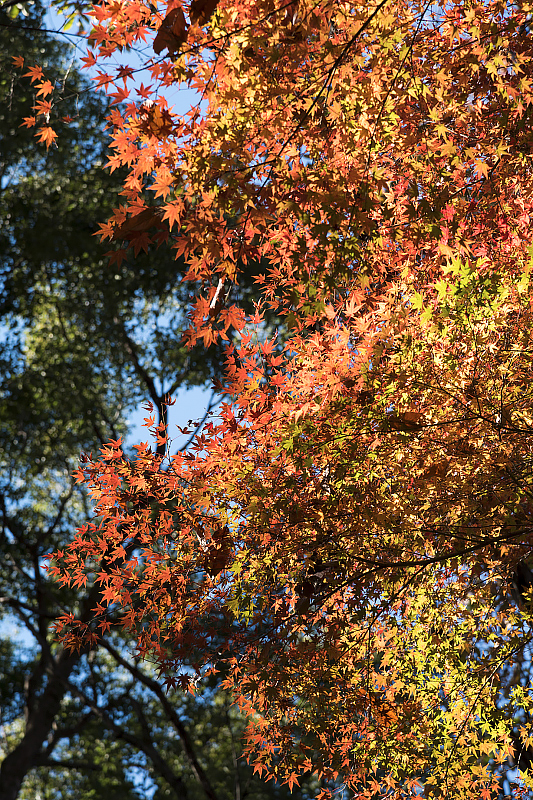 image0313
