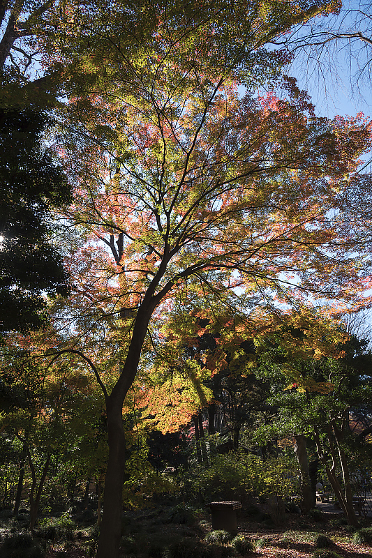 image0334