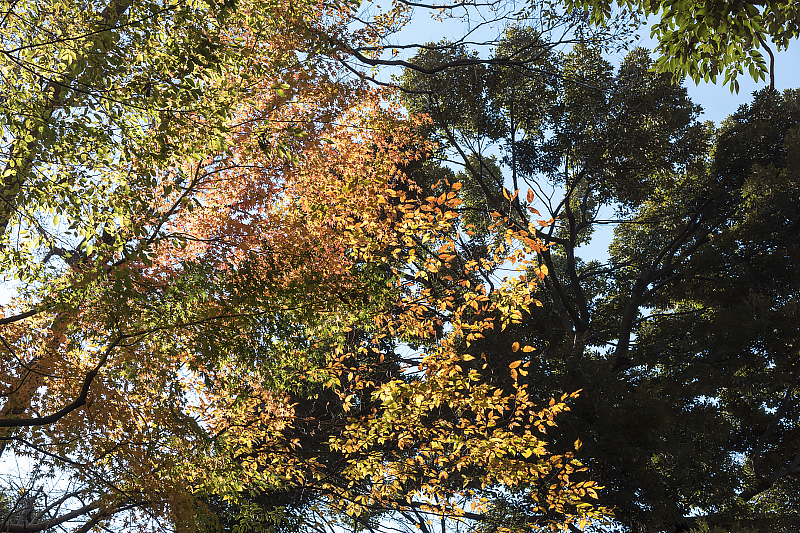 image0336
